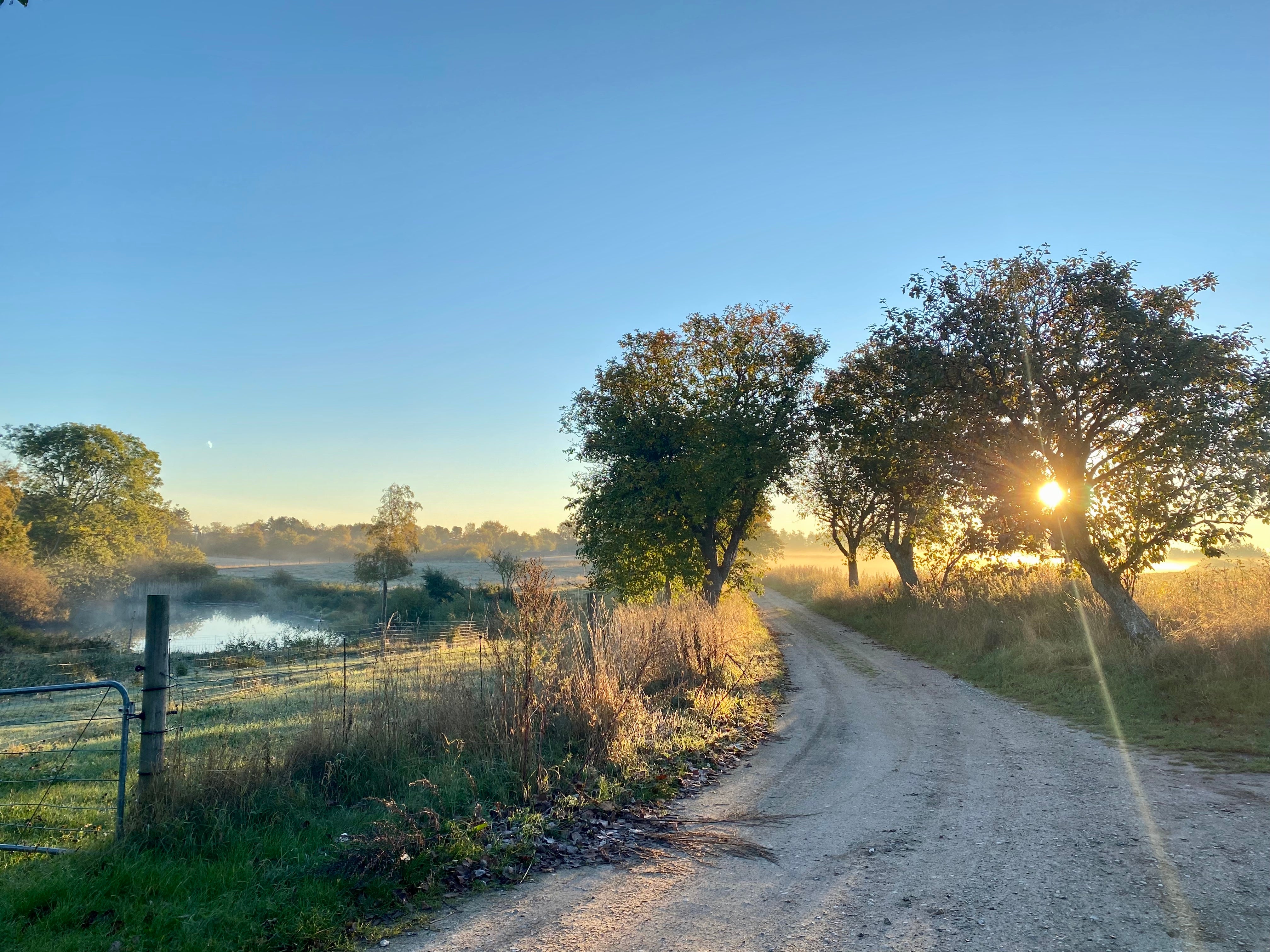 Efterår