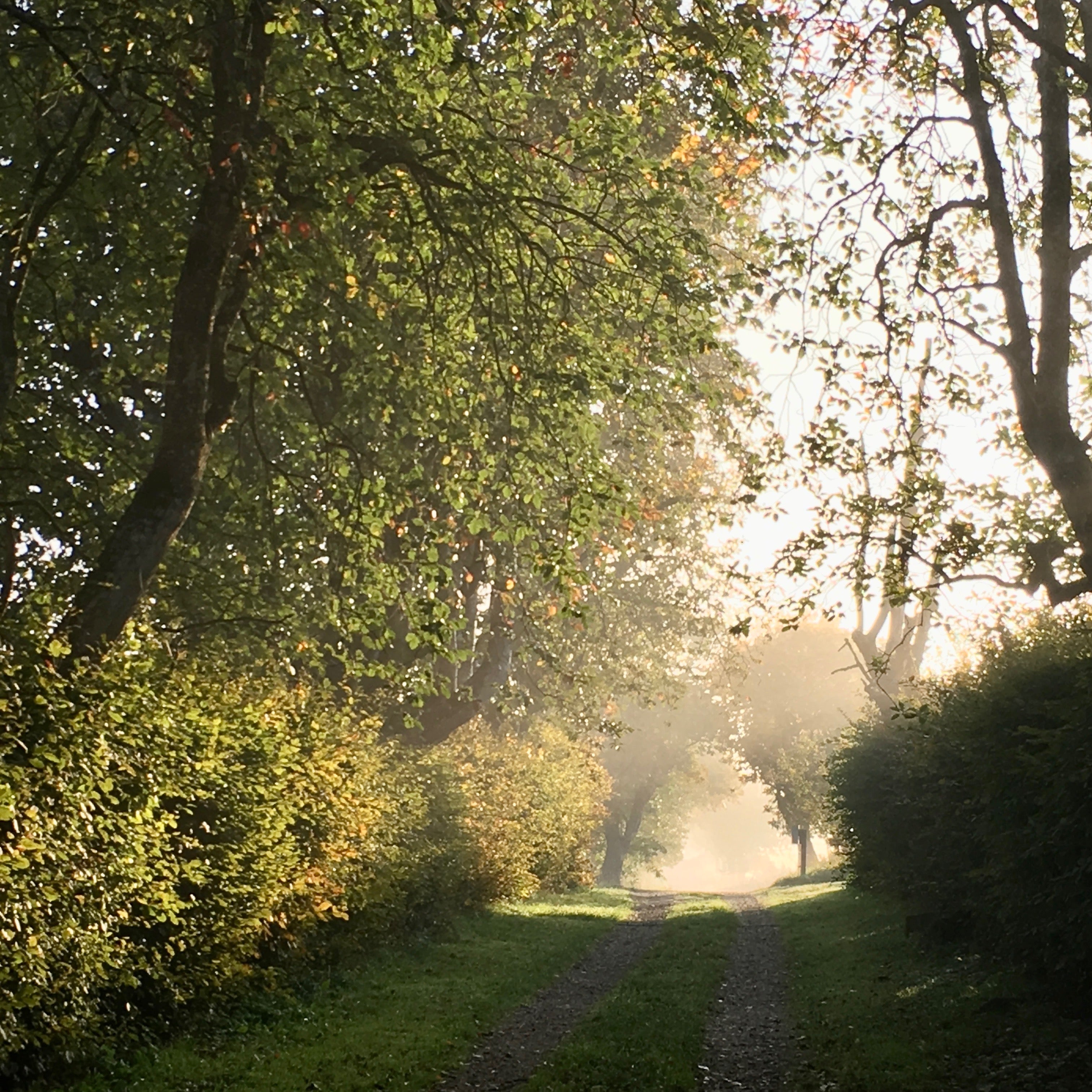 Efterår