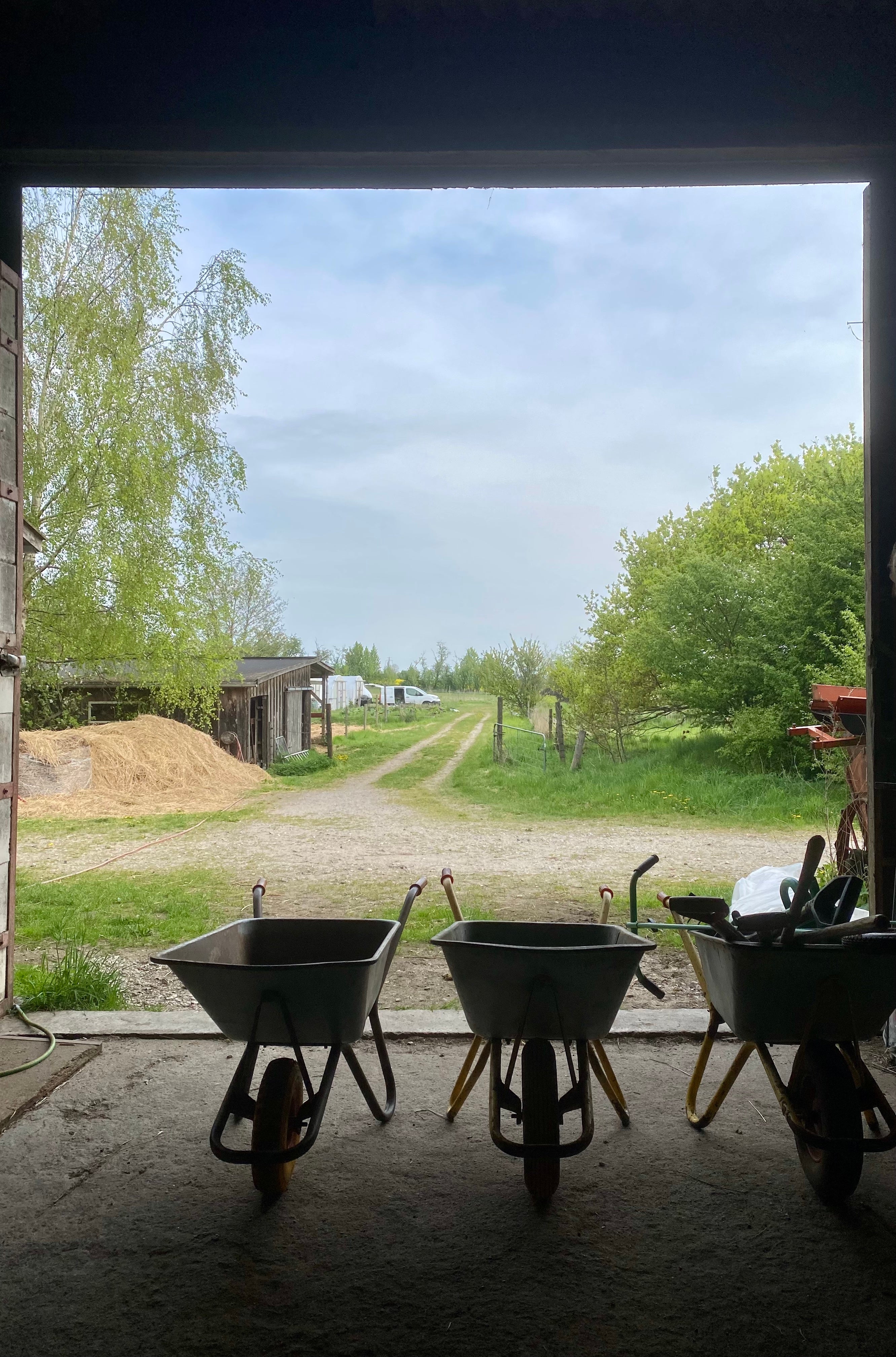 Forår
