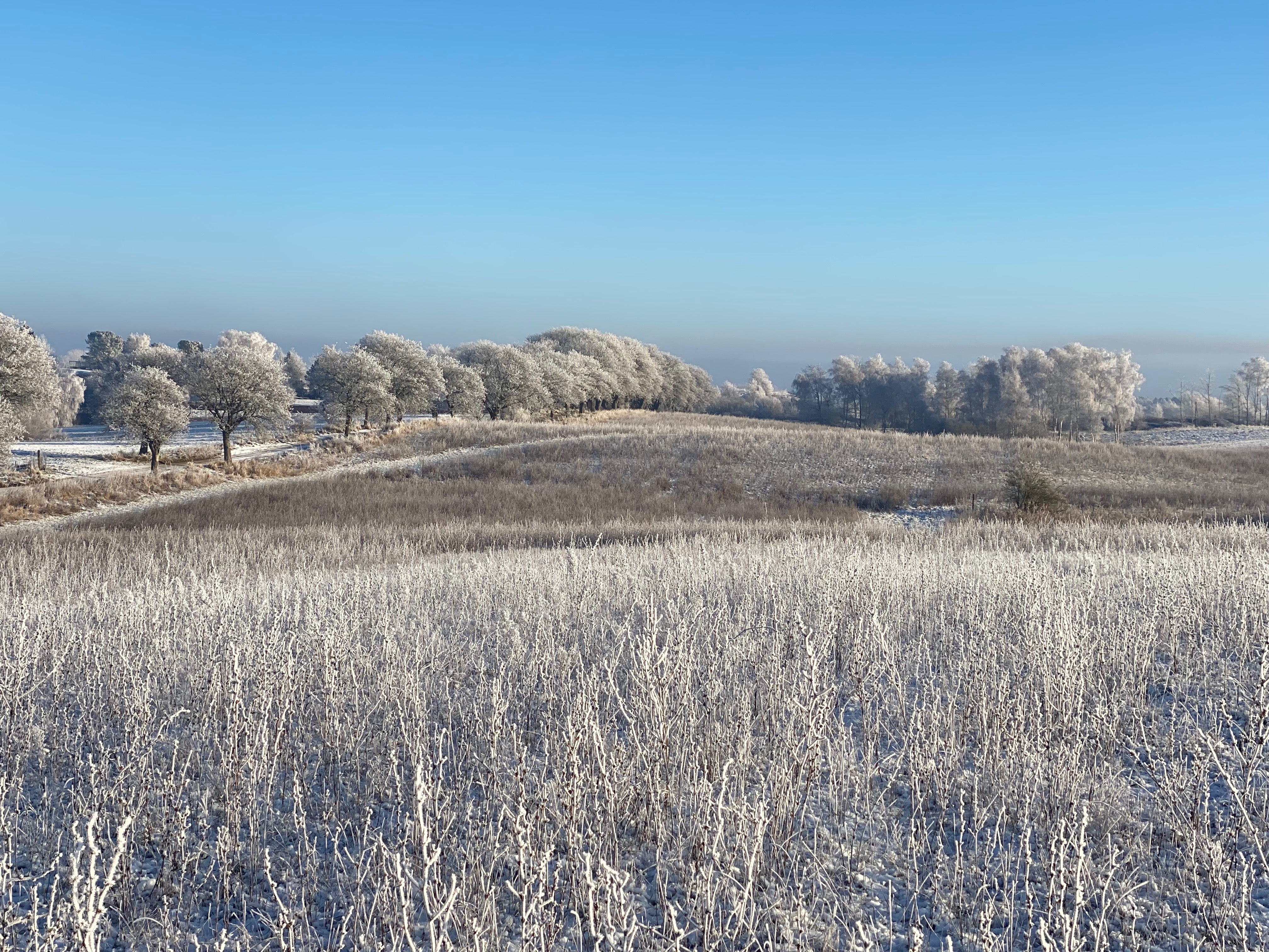 Vinter