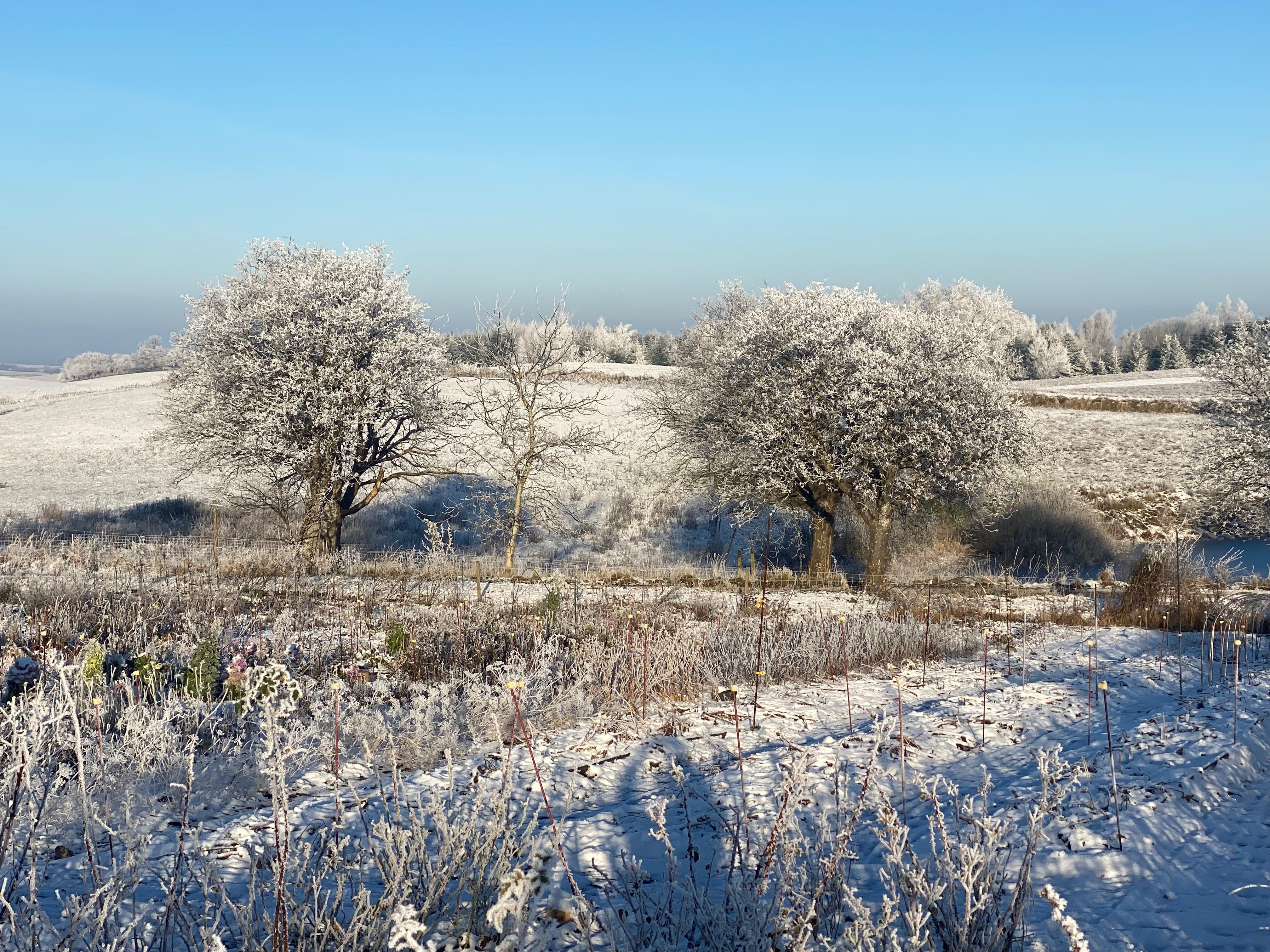 Vinter