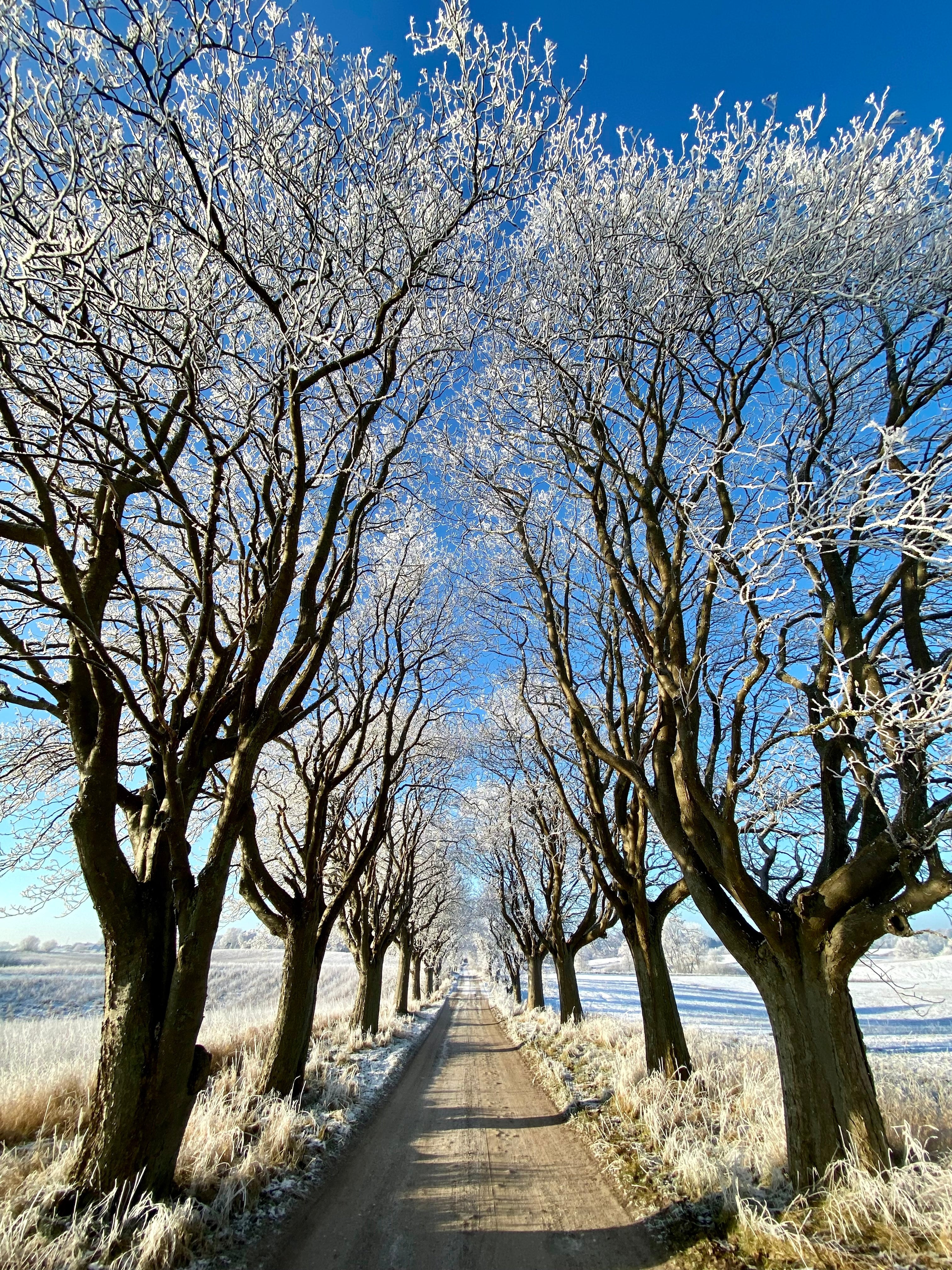 Vinter